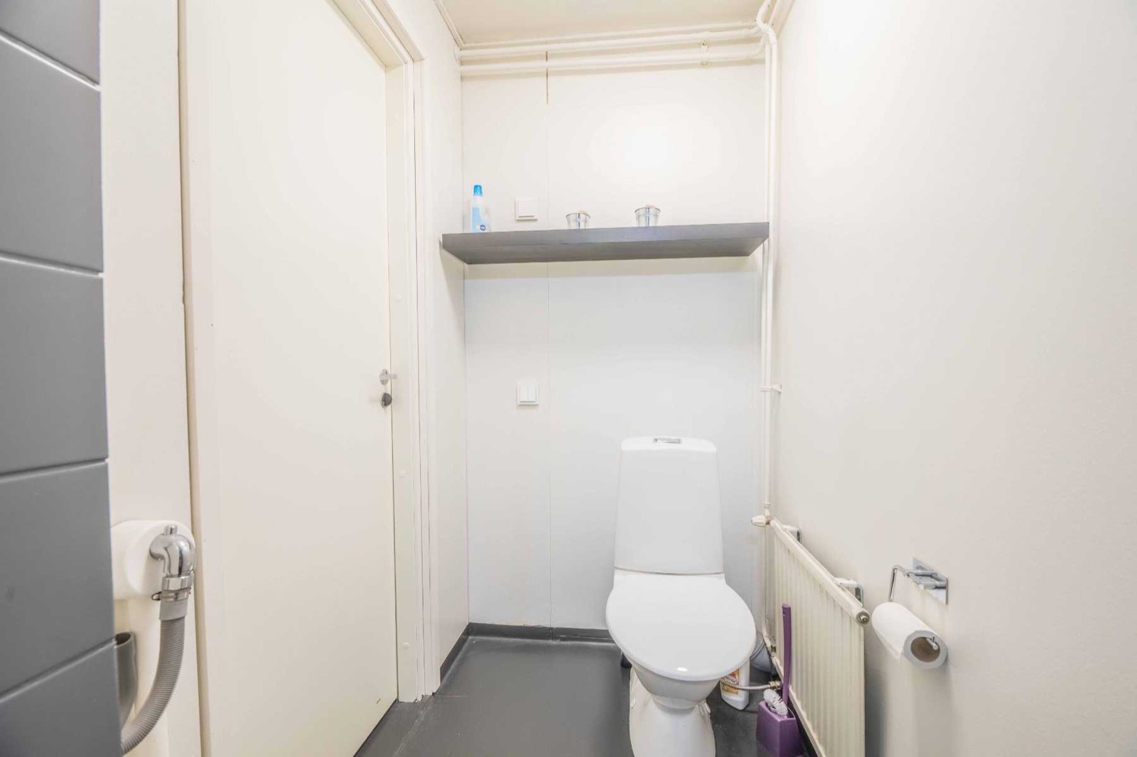 Muskari_wc2