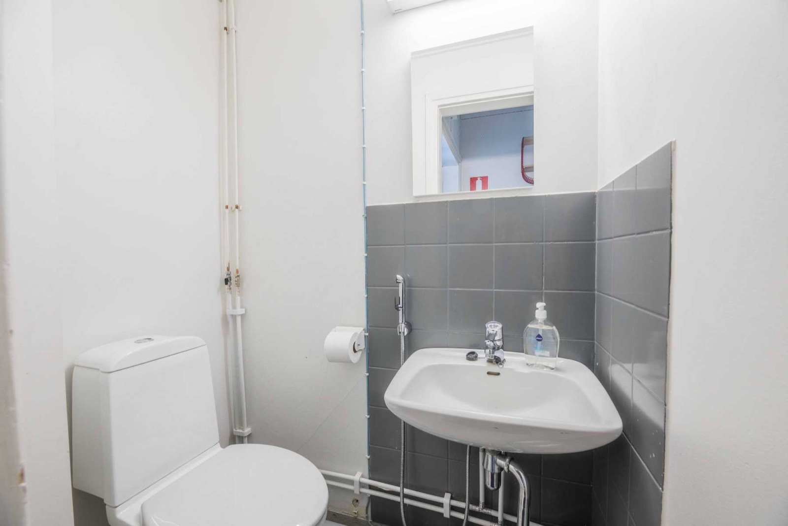 Muskari_wc2(1)